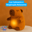 Capivara Relaxante