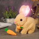 🐰 Coelhinhos Saltitantes