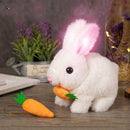 🐰 Coelhinhos Saltitantes