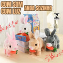 🐰 Coelhinhos Saltitantes