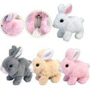 🐰 Coelhinhos Saltitantes