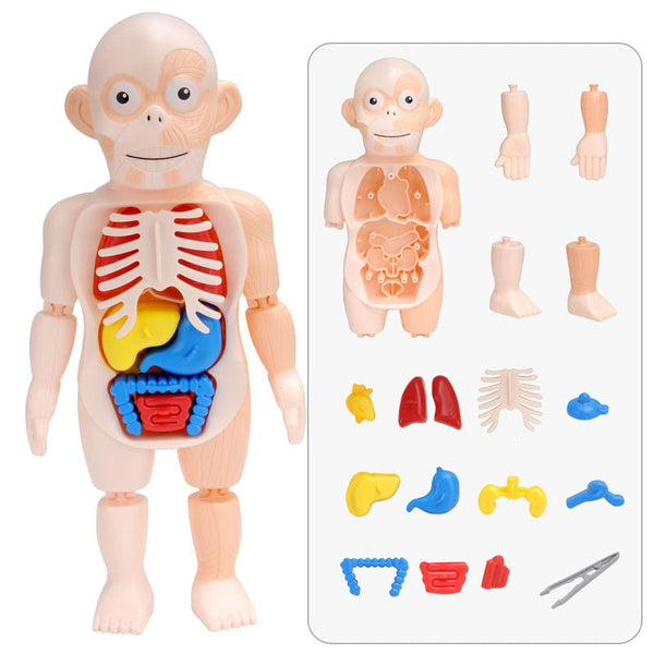 Product placeholder